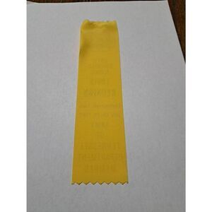 1995 SCV Sons Confed Veterans 100th Reunion Chattanooga TN Dept Member Ribbon